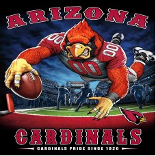 TS007 Arizona Cardinals 
